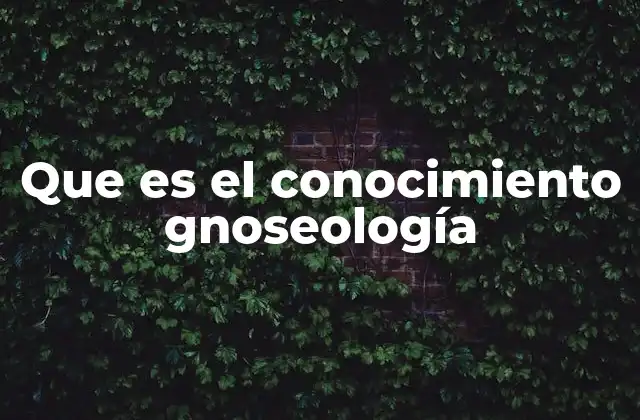 Que es el Conocimiento Gnoseología