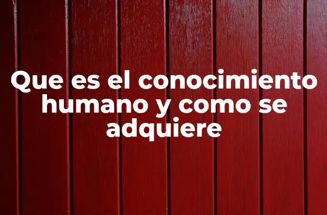Que es el Conocimiento Humano y como Se Adquiere