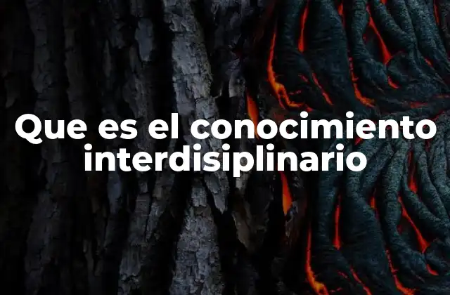 Que es el Conocimiento Interdisiplinario