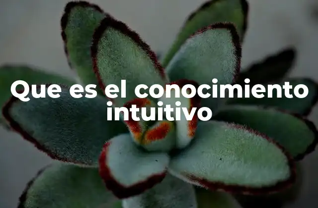 Que es el Conocimiento Intuitivo