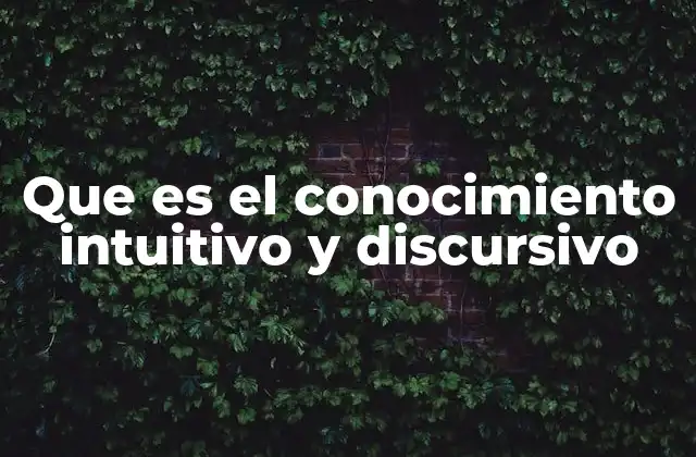 Que es el Conocimiento Intuitivo y Discursivo