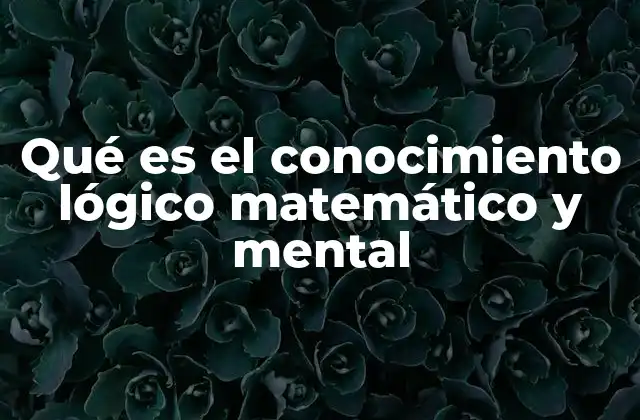 Qué es el Conocimiento Lógico Matemático y Mental