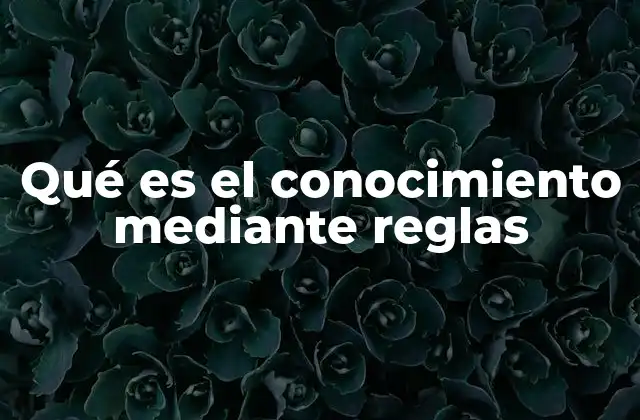 Qué es el Conocimiento mediante Reglas