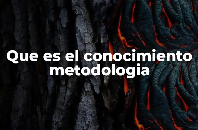 Que es el Conocimiento Metodologia