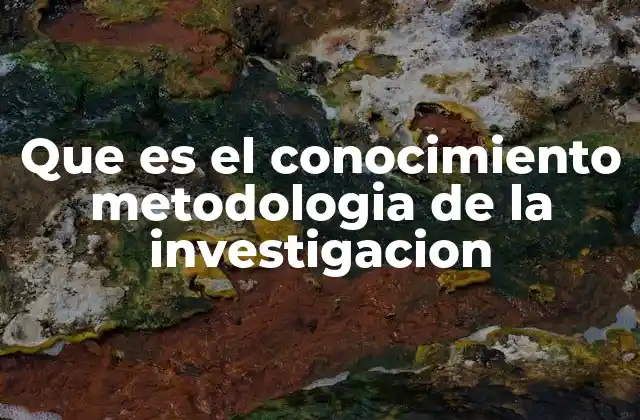 Que es el Conocimiento Metodologia de la Investigacion