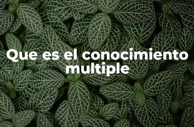 Que es el Conocimiento Multiple