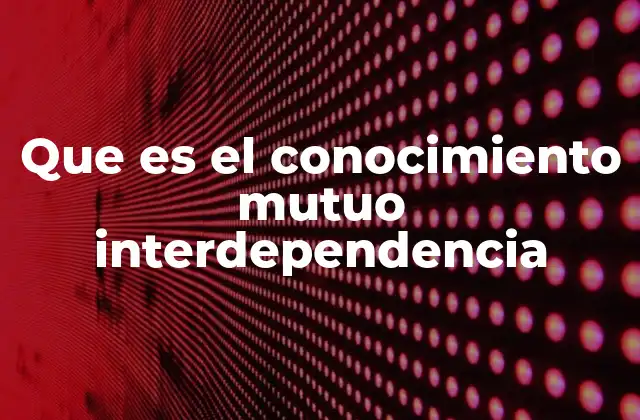 Que es el Conocimiento Mutuo Interdependencia