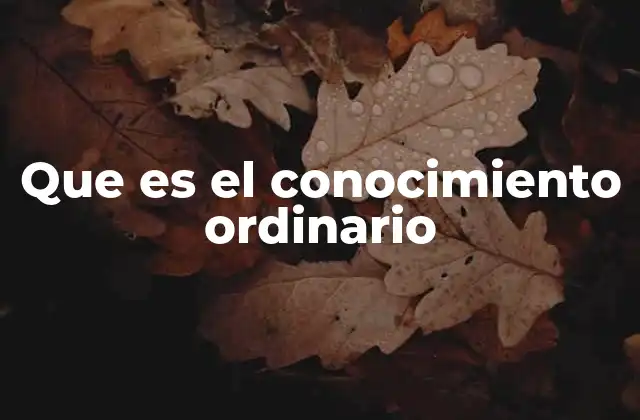 Que es el Conocimiento Ordinario
