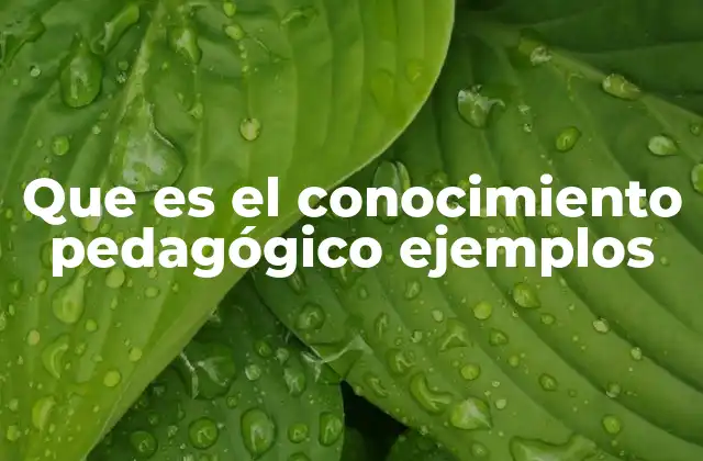 La importancia del conocimiento pedagógico en la práctica docente