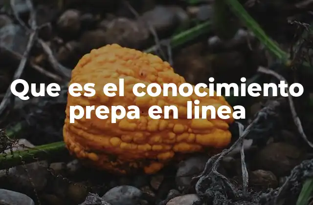 Que es el Conocimiento Prepa en Linea
