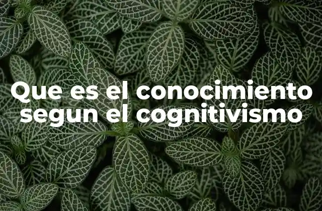 Que es el Conocimiento Segun el Cognitivismo