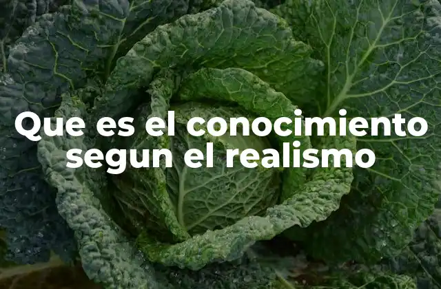 Que es el Conocimiento Segun el Realismo 2 La relación entre realidad y conocimiento en el realismo