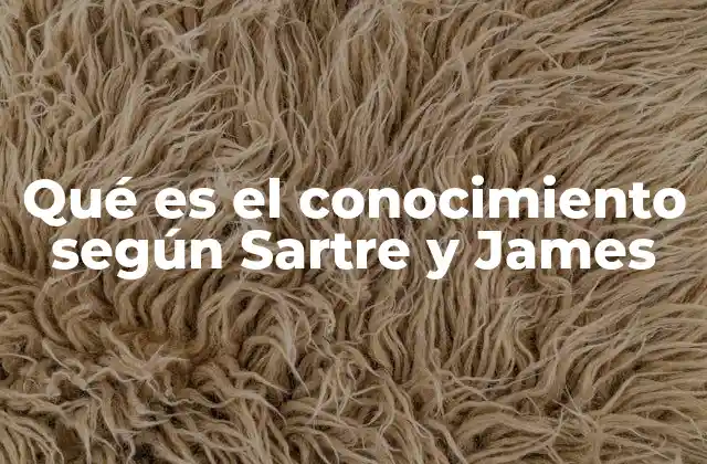 Qué es el Conocimiento según Sartre y James