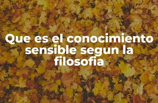 Que es el Conocimiento Sensible Segun la Filosofia