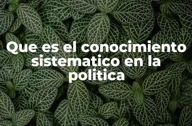 Que es el Conocimiento Sistematico en la Politica