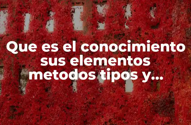 Que es el Conocimiento Sus Elementos Metodos Tipos y Objetivos