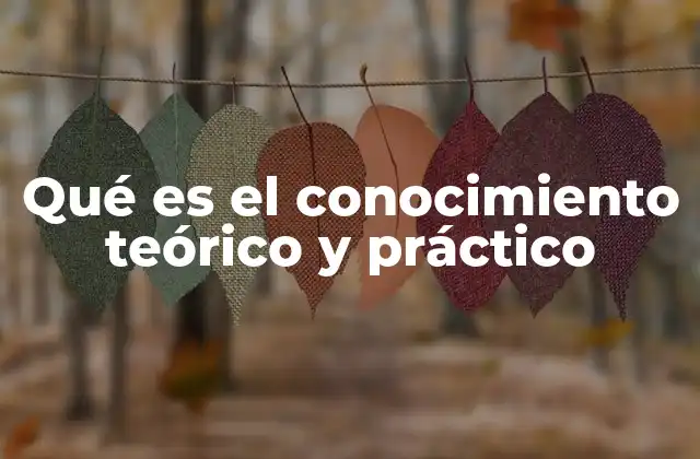 Qué es el Conocimiento Teórico y Práctico