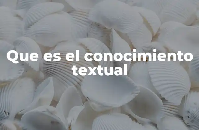 Que es el Conocimiento Textual