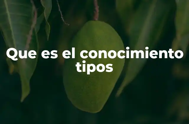 Que es el Conocimiento Tipos