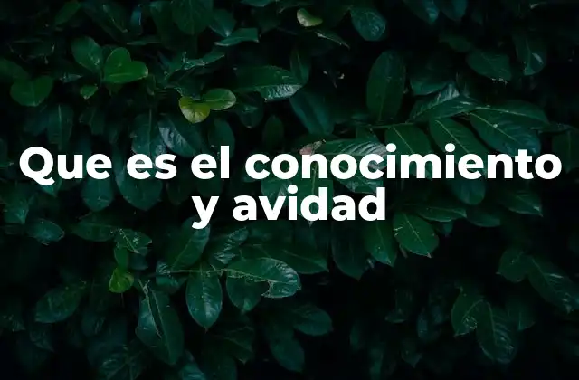 Que es el Conocimiento y Avidad