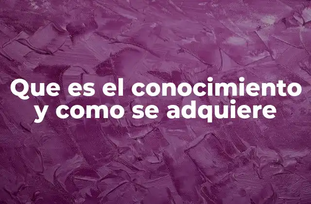 El viaje del individuo hacia la comprensión