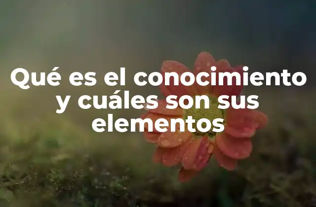 Qué es el Conocimiento y Cuáles Son Sus Elementos