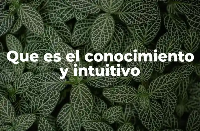 Que es el Conocimiento y Intuitivo