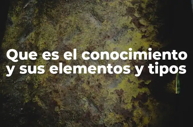 Que es el Conocimiento y Sus Elementos y Tipos