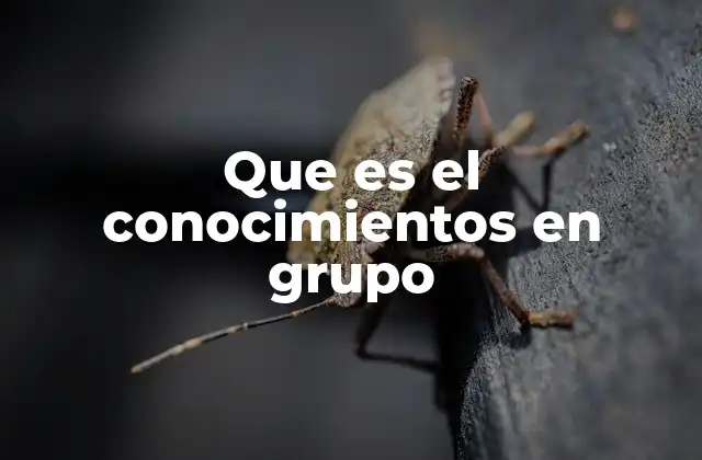 Que es el Conocimientos en Grupo