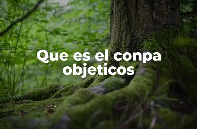 Que es el Conpa Objeticos 2 El surgimiento del personaje en la cultura digital