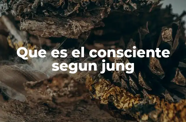 Que es el Consciente Segun Jung