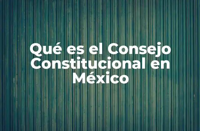 Qué es el Consejo Constitucional en México