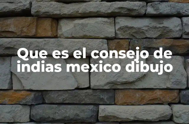 Que es el Consejo de Indias Mexico Dibujo
