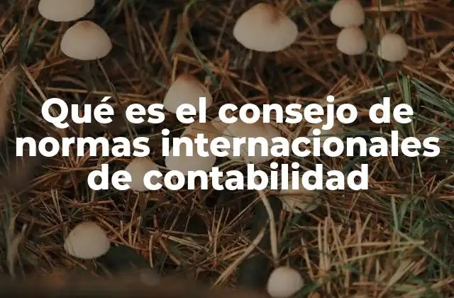 Qué es el Consejo de Normas Internacionales de Contabilidad