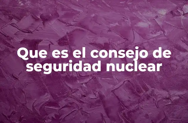 Que es el Consejo de Seguridad Nuclear