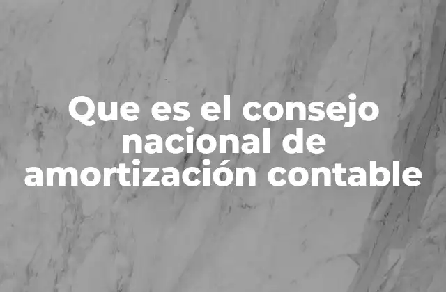 Que es el Consejo Nacional de Amortización Contable