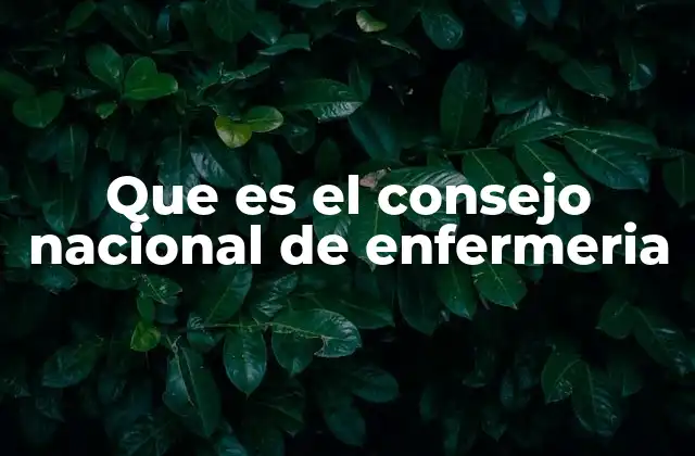 Que es el Consejo Nacional de Enfermeria