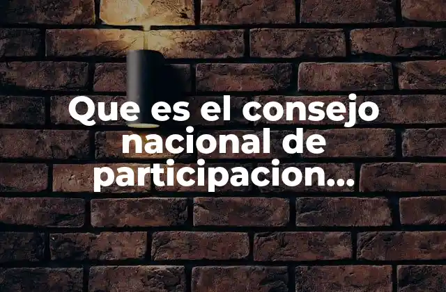 Que es el Consejo Nacional de Participacion Ciudadana