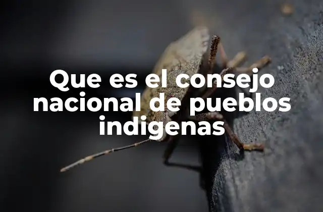 Que es el Consejo Nacional de Pueblos Indigenas