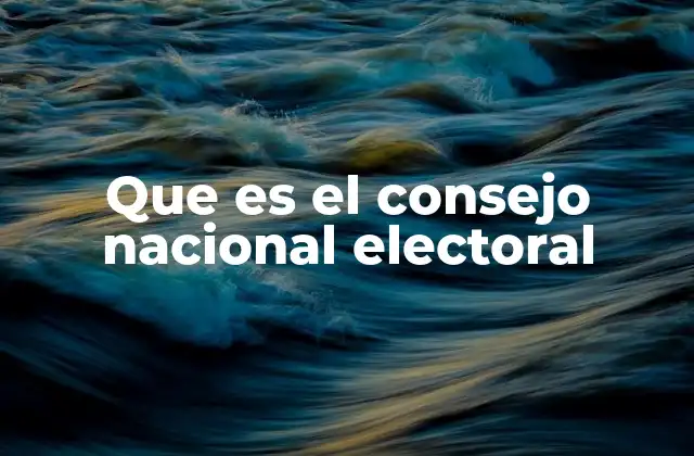 Que es el Consejo Nacional Electoral 2 El rol del órgano electoral en la democracia