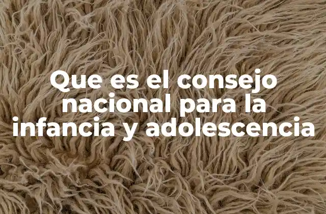 Que es el Consejo Nacional para la Infancia y Adolescencia