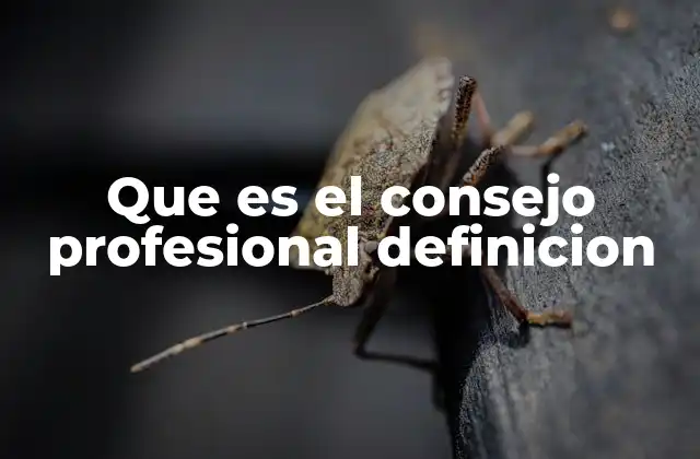 ¿Cómo funcionan los consejos profesionales en la vida real?