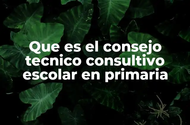 Que es el Consejo Tecnico Consultivo Escolar en Primaria