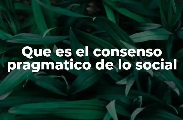 Que es el Consenso Pragmatico de Lo Social