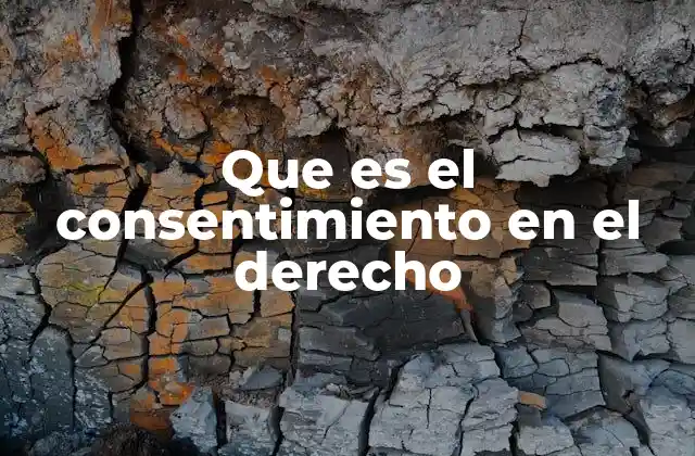 Que es el Consentimiento en el Derecho