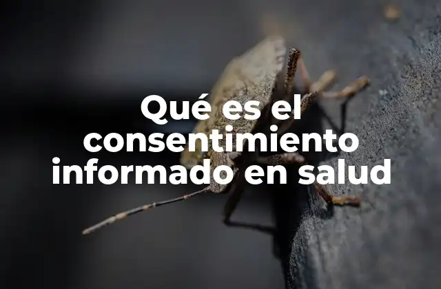 Qué es el Consentimiento Informado en Salud