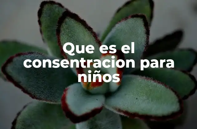 Que es el Consentracion para Niños