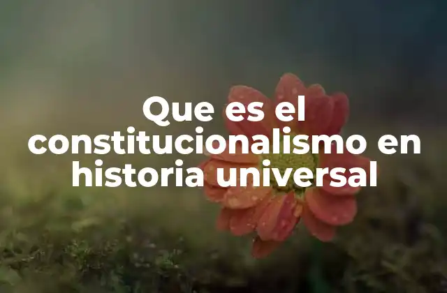 Que es el Constitucionalismo en Historia Universal