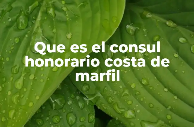 Que es el Consul Honorario Costa de Marfil
