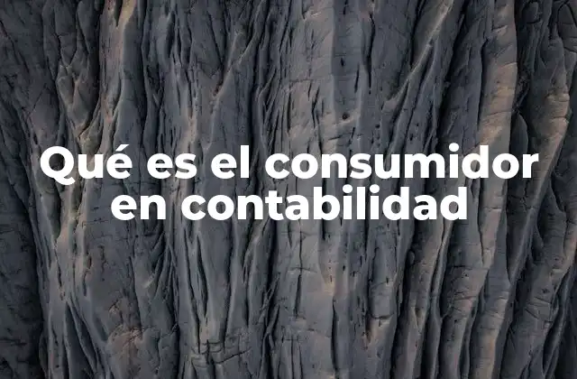 Qué es el Consumidor en Contabilidad